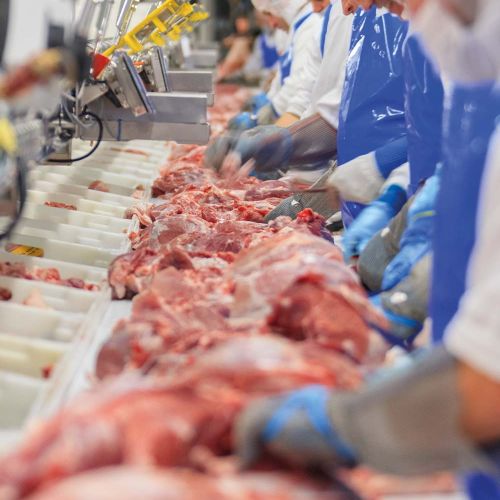 Food Processing