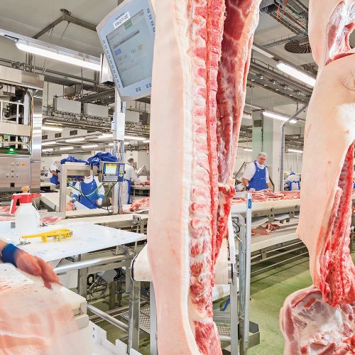 Food Processing